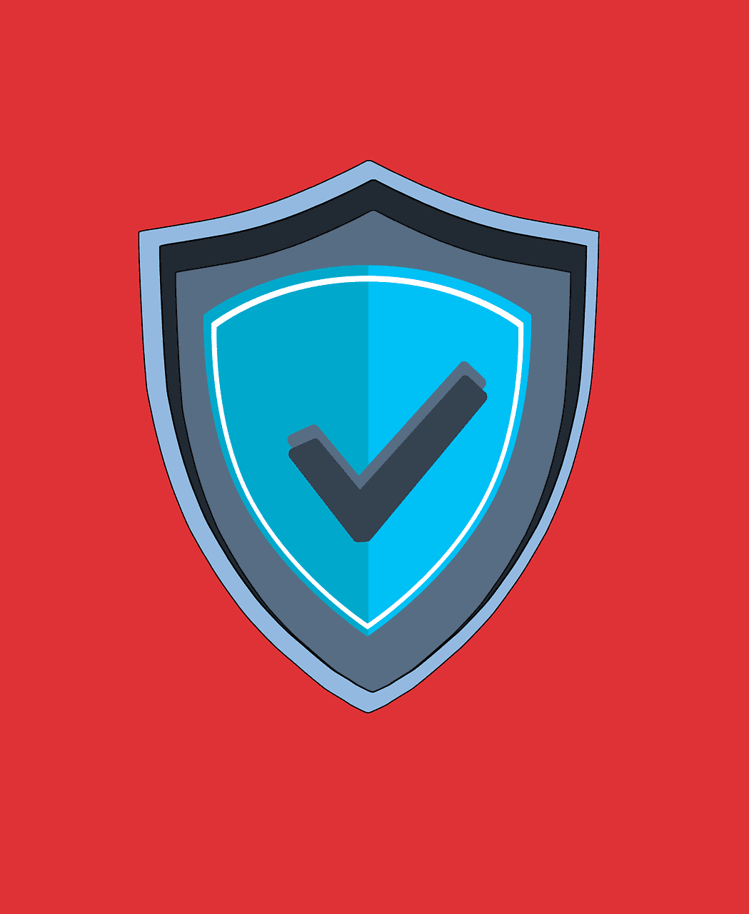 NSA Best Practice